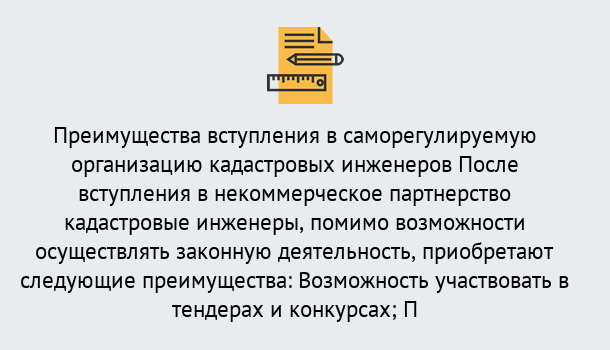 Почему нужно обратиться к нам? Чита Что дает допуск СРО кадастровых инженеров?