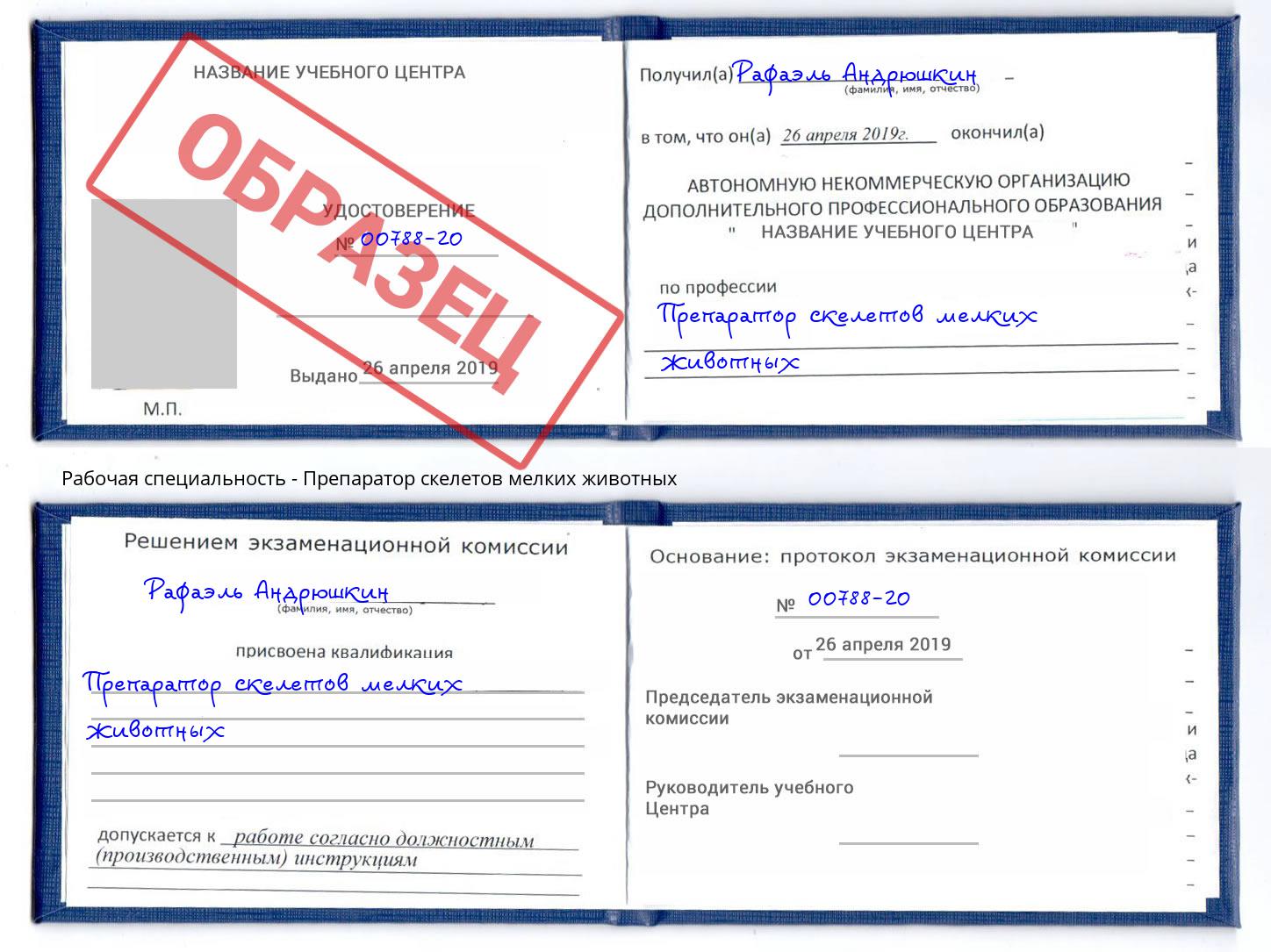 Препаратор скелетов мелких животных Чита