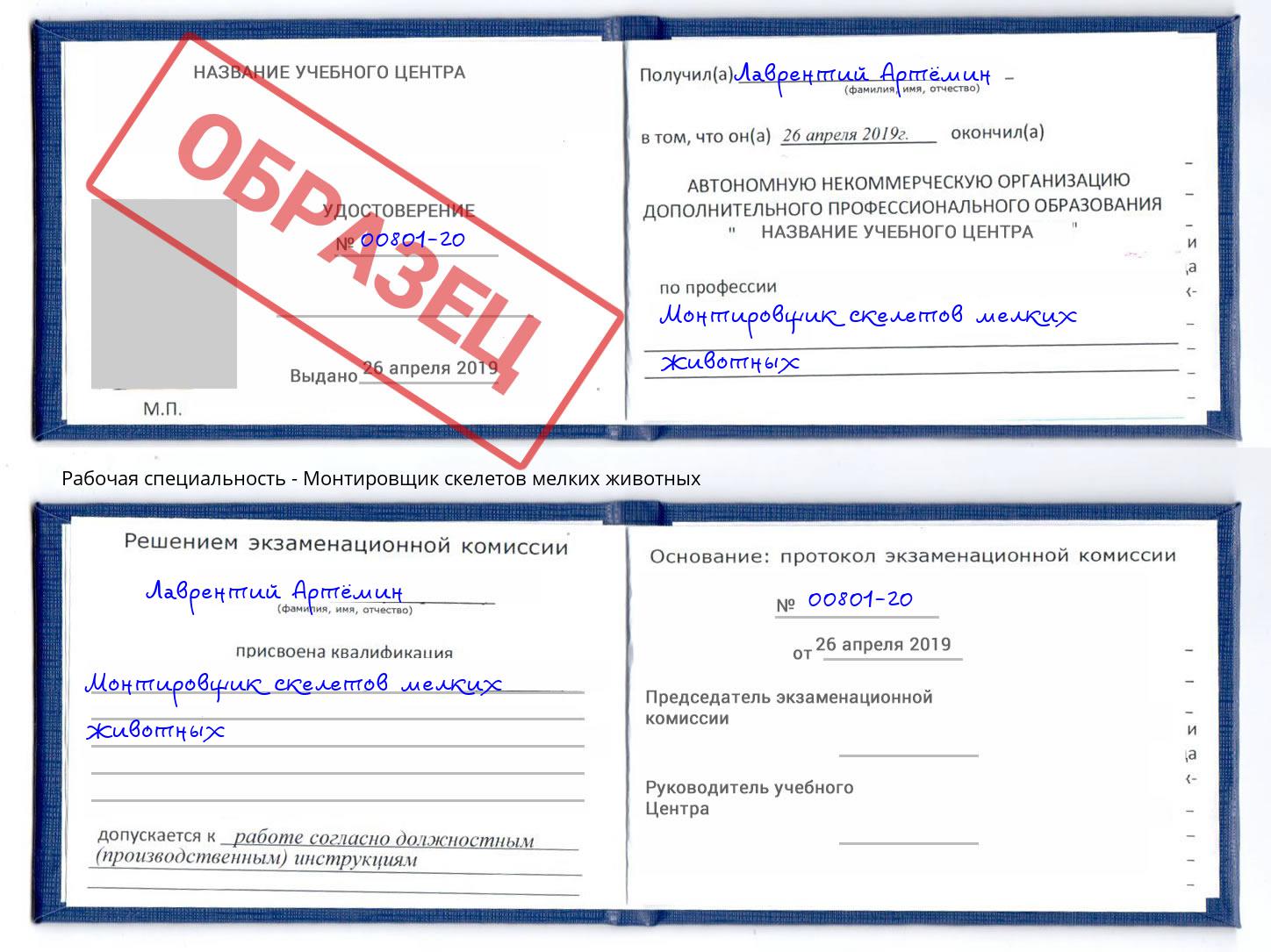 Монтировщик скелетов мелких животных Чита
