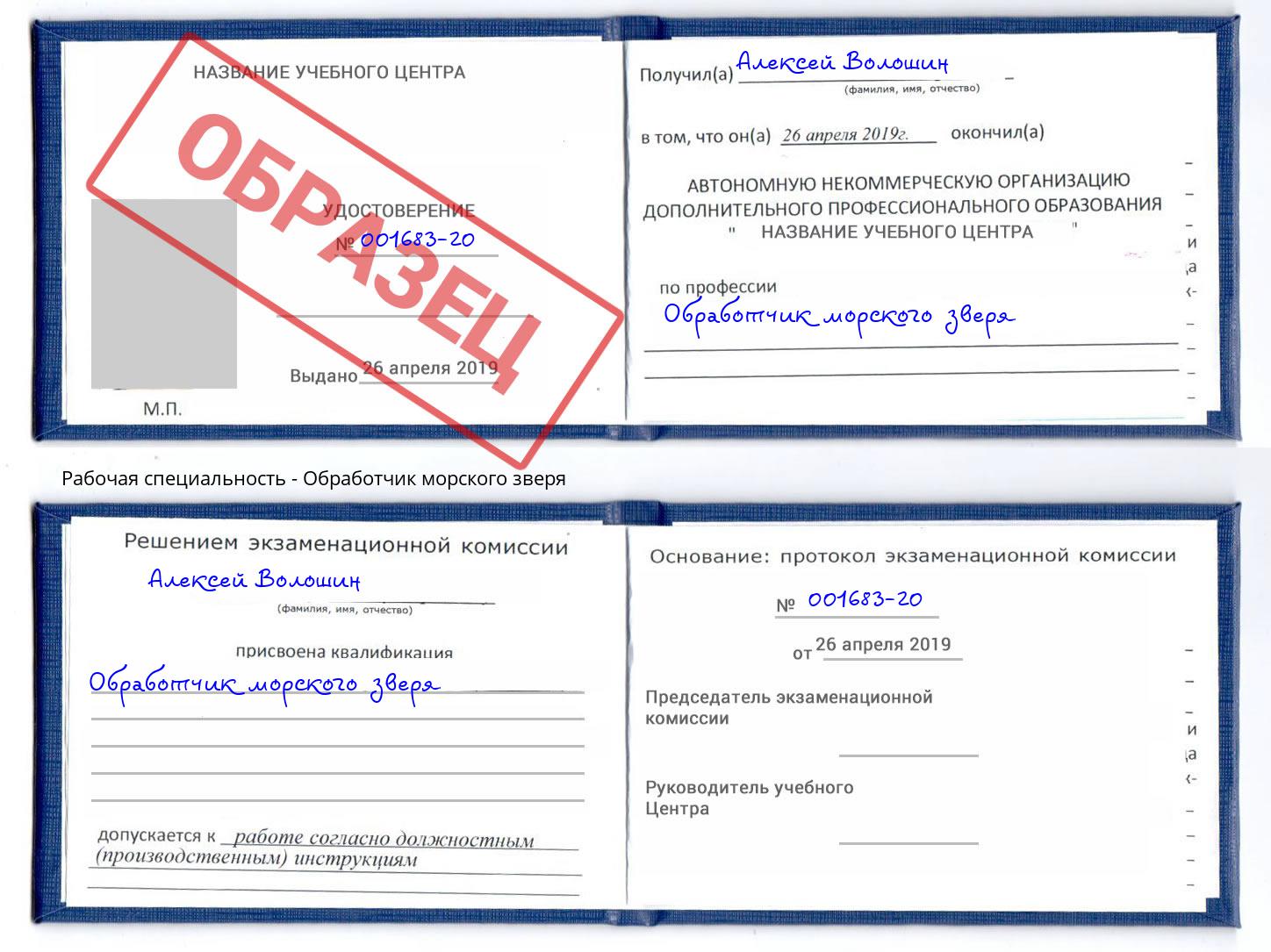 Обработчик морского зверя Чита