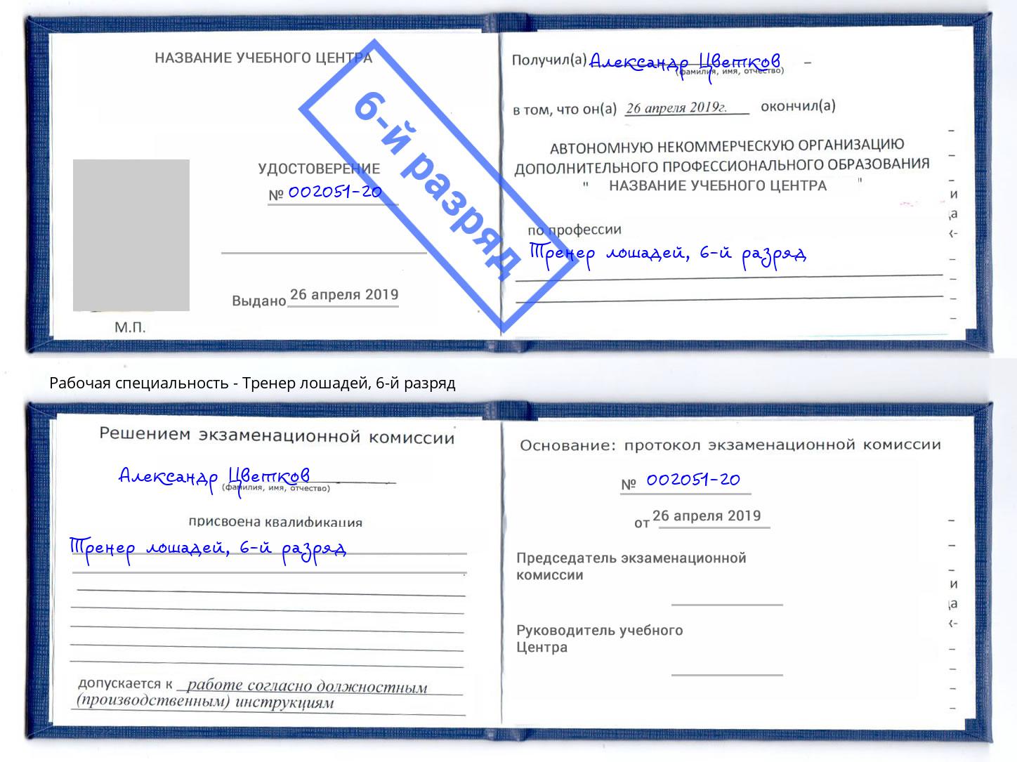 корочка 6-й разряд Тренер лошадей Чита